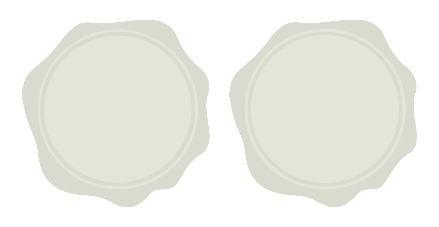 Set de perlas lacre 35g Traslucent Back to Basic